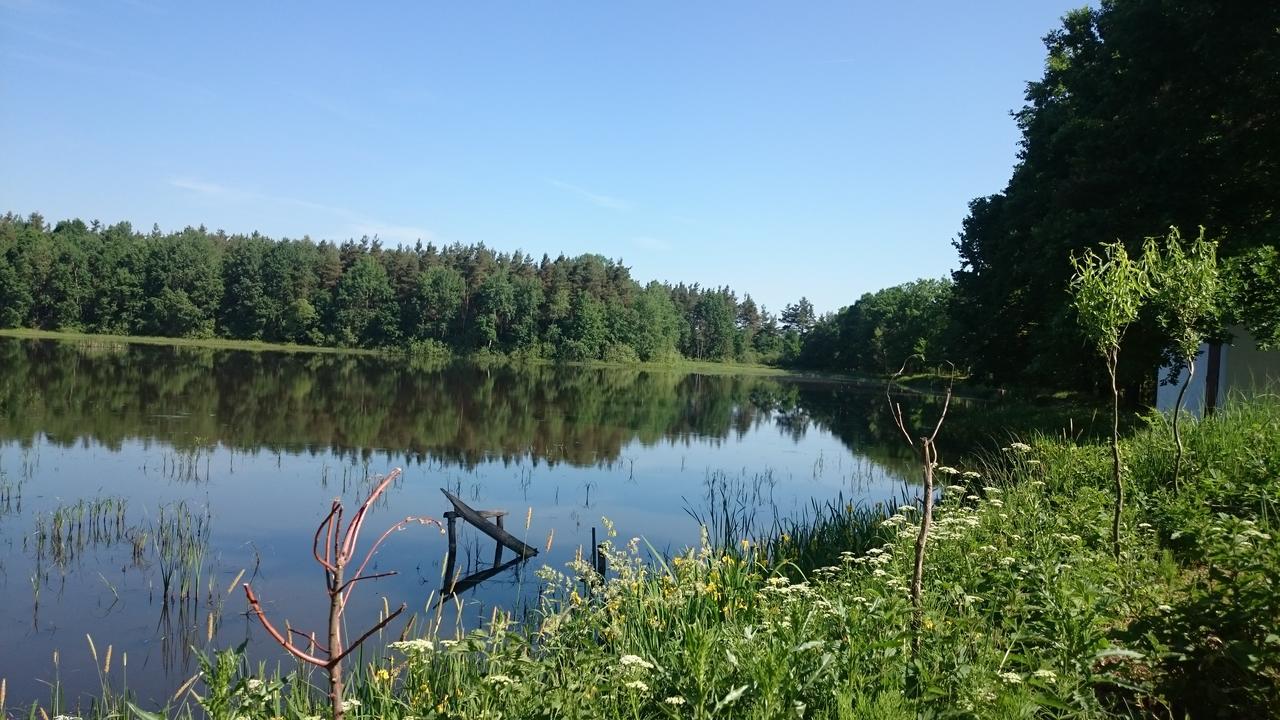 Chata U Smoliku Villa Borovany  Exterior foto